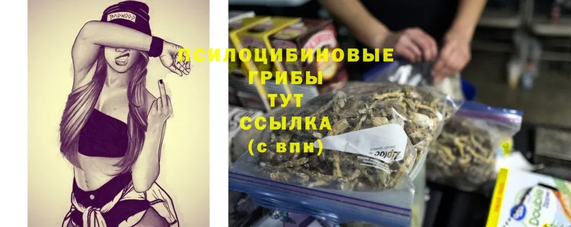 Псилоцибиновые грибы Magic Shrooms  Ревда 